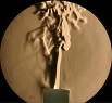 Schlieren Projection